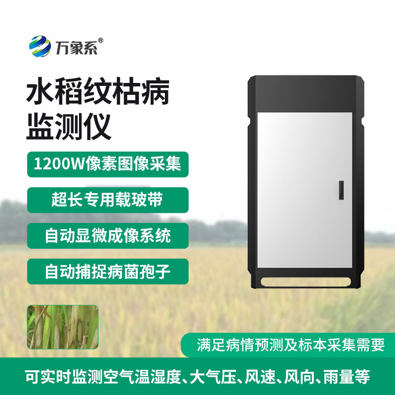 紋枯病測報儀上線,提前捕捉病害信號,守護糧食作物安全